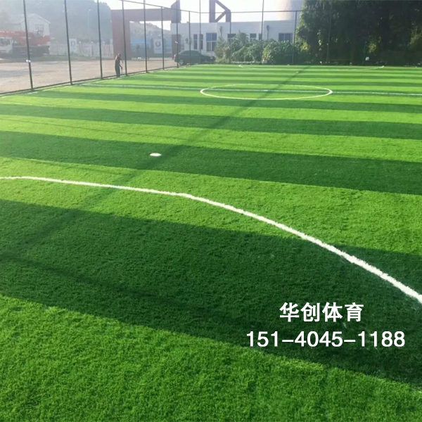 足球场人造草坪与足球场天然草坪优劣对比